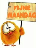 Groebelkuikens programma 2025-2026